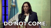 1000003411.gif
